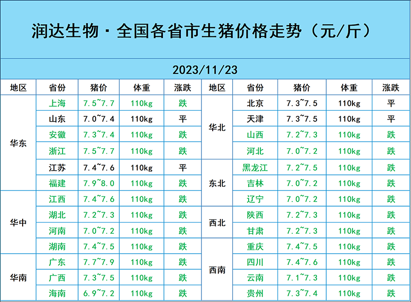 11月23日猪价行情