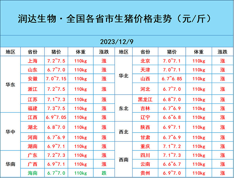 12月11日猪价行情