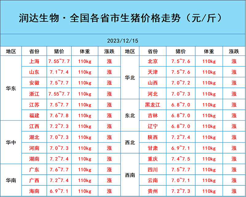 12月15日猪价行情