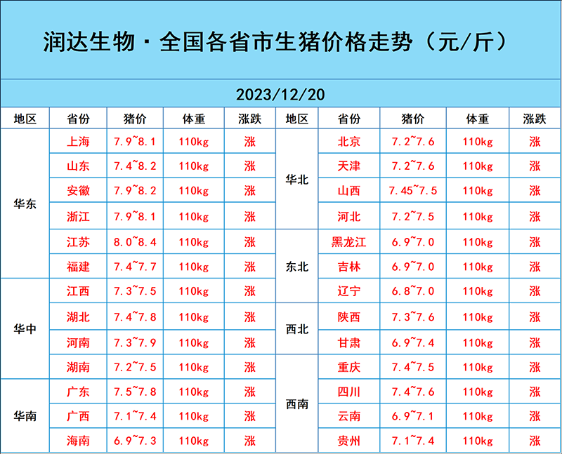 12月20日猪价行情