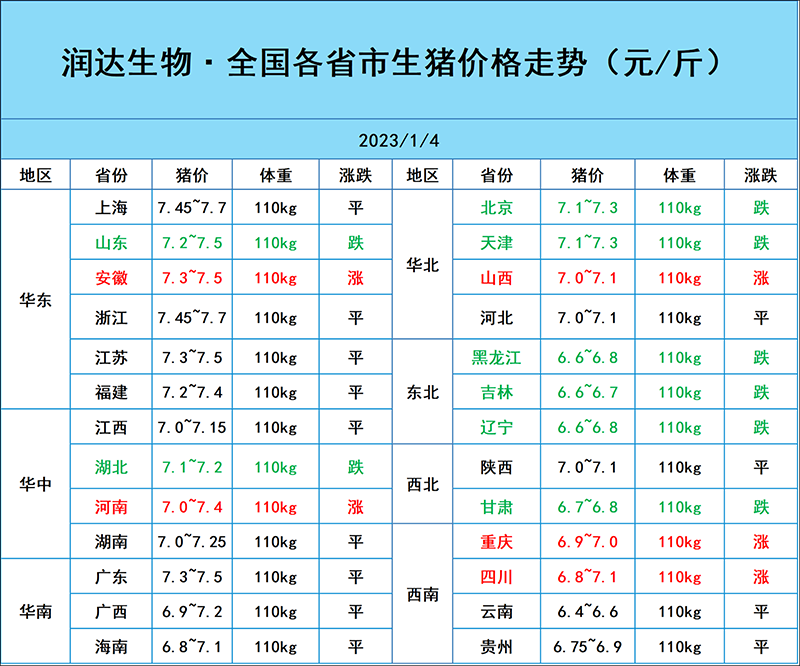 1月4日猪价行情