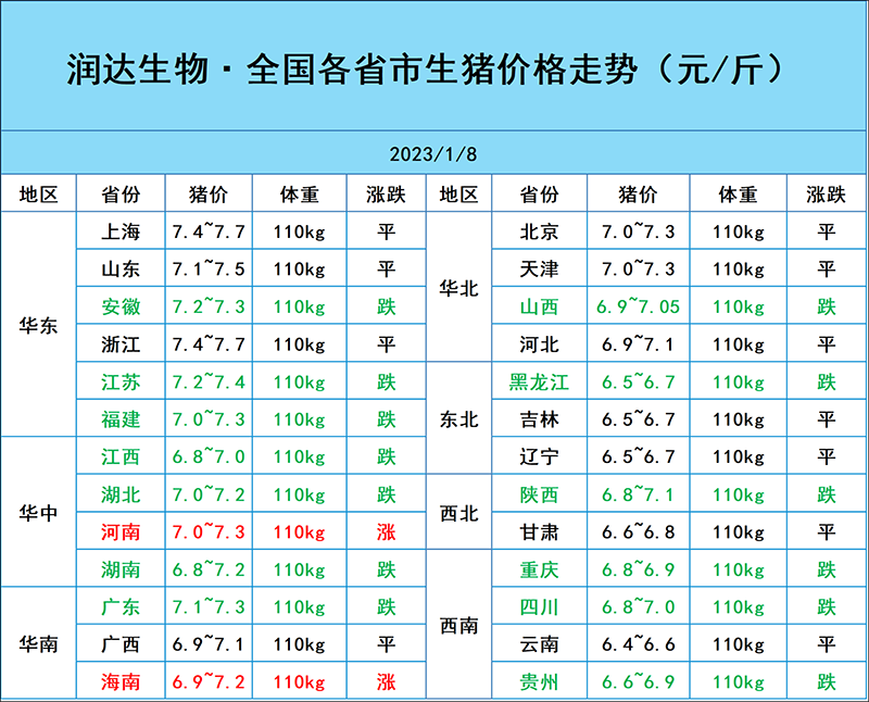 1月8日猪价行情