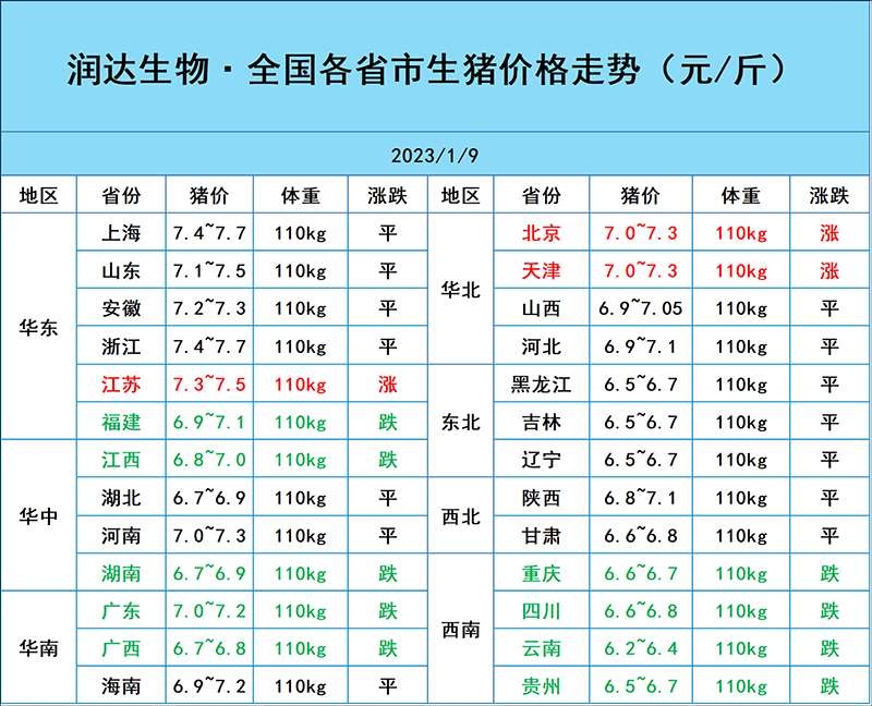 1月9日猪价行情