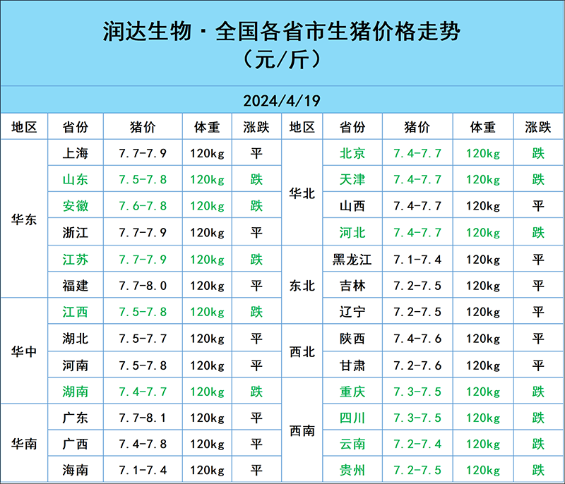 2024年4月19日明日猪价行情