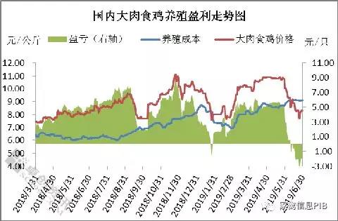 第二季度大肉食鸡养殖盈利分析