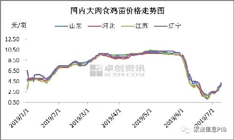 鸡苗价格触底反弹，养殖成本再度走高