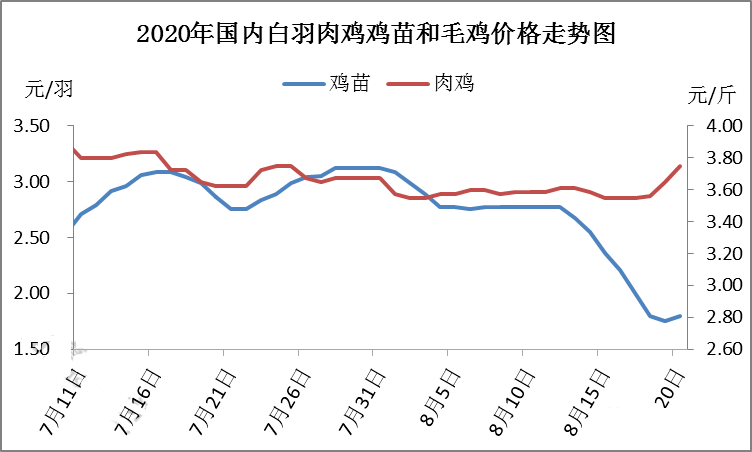 毛鸡和鸡苗价格走势图