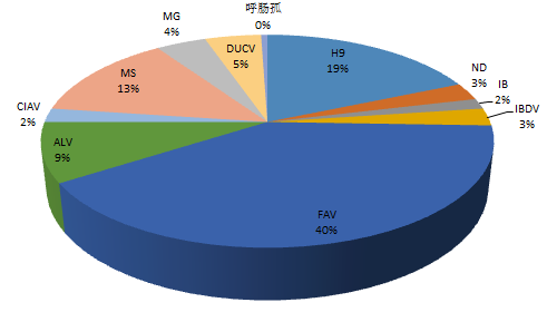 家禽病原检出情况