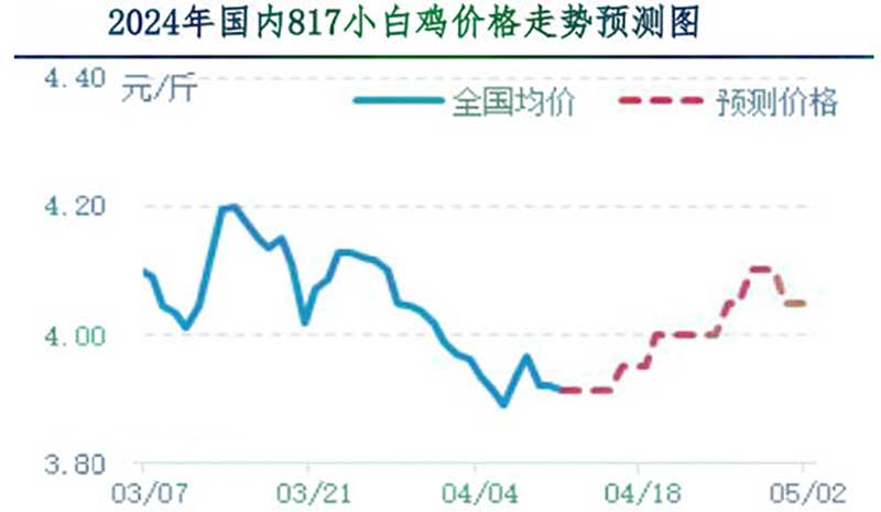 肉鸡市场下周行情预测