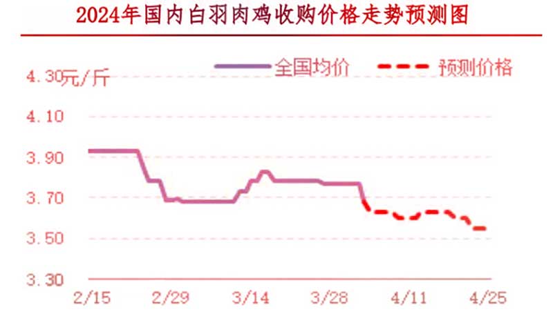 肉鸡市场下周行情预测