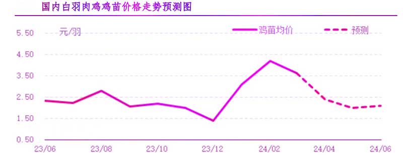 4月肉鸡市场行情预测