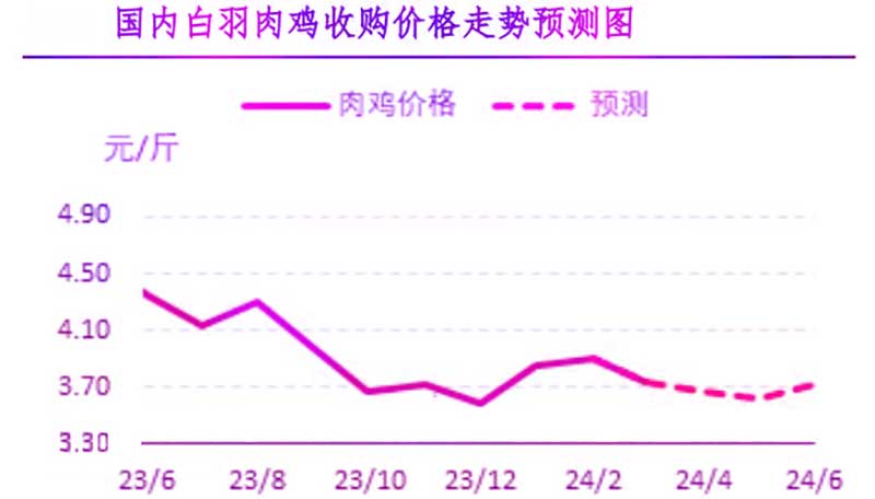 4月肉鸡市场行情预测