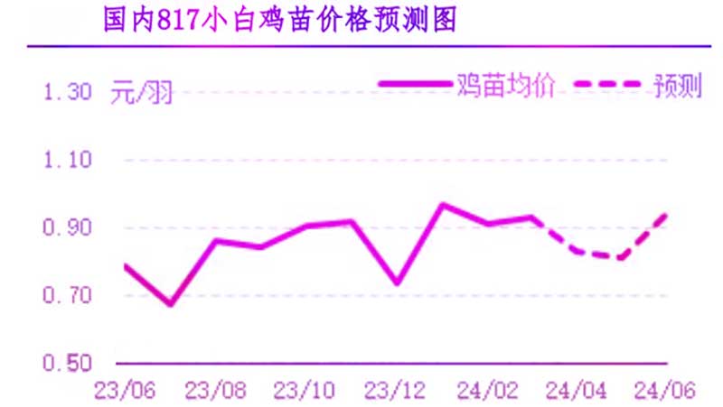 4月肉鸡市场行情预测