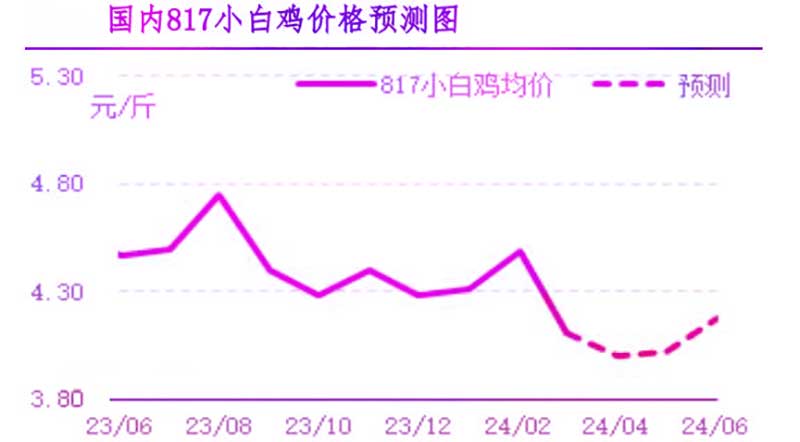 4月肉鸡市场行情预测