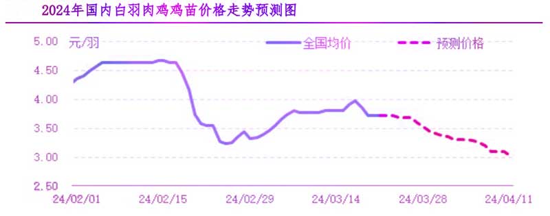 肉鸡市场下周行情预测