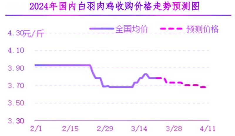 肉鸡市场下周行情预测