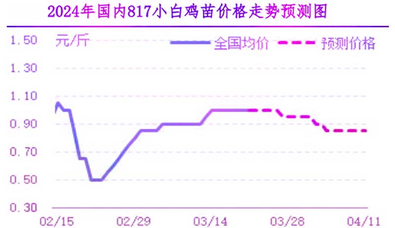 肉鸡市场下周行情预测