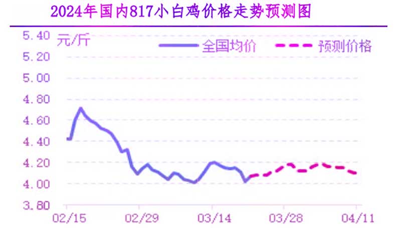 肉鸡市场下周行情预测