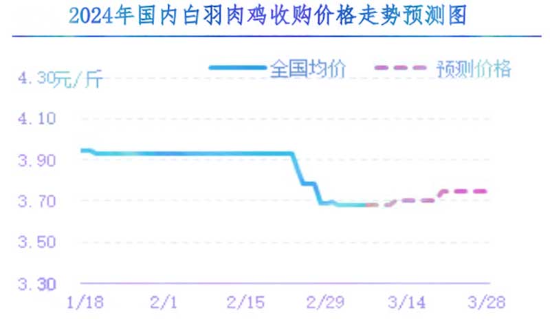 肉鸡市场下周行情预测