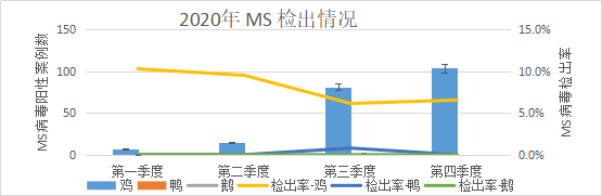 2020年 MS 一至四季度检出情况图