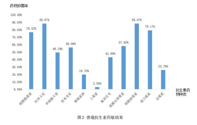 图2 普通抗生素药敏结果