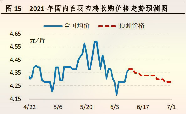 国内白羽肉鸡收购价格走势预测图