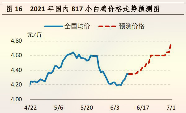 国内 817 小白鸡价格走势预测图