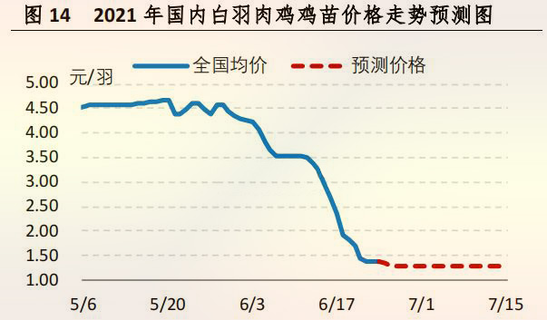 国内白羽肉鸡鸡苗价格走势预测图