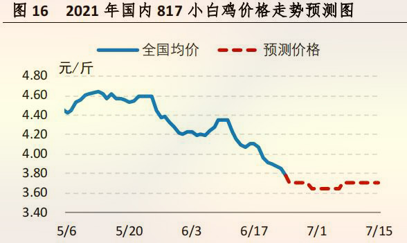 国内 817 小白鸡价格走势预测图