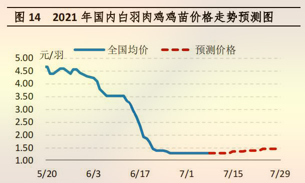 国内白羽肉鸡鸡苗价格走势预测图