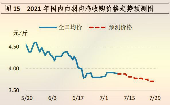 国内白羽肉鸡收购价格走势预测图