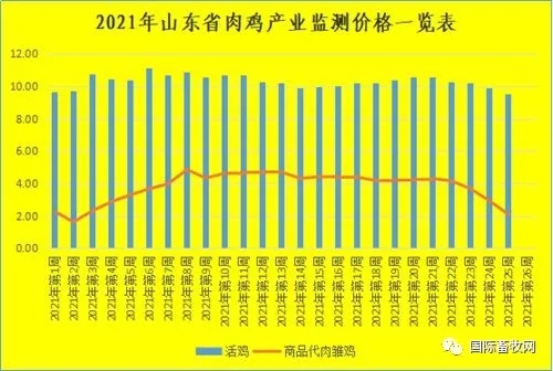 山东省肉鸡产业监测价格