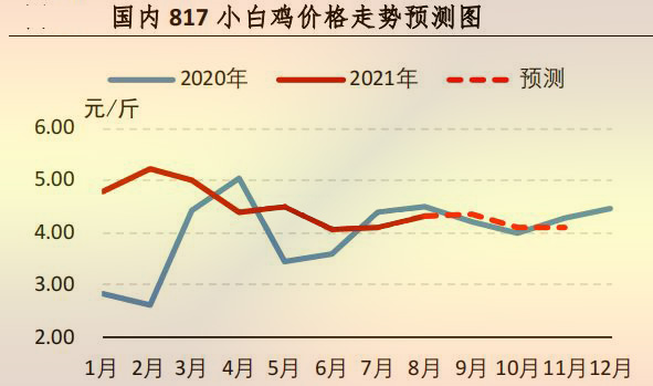 817小白鸡价格走势