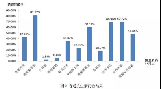 临床常用抗菌药物敏感性统计