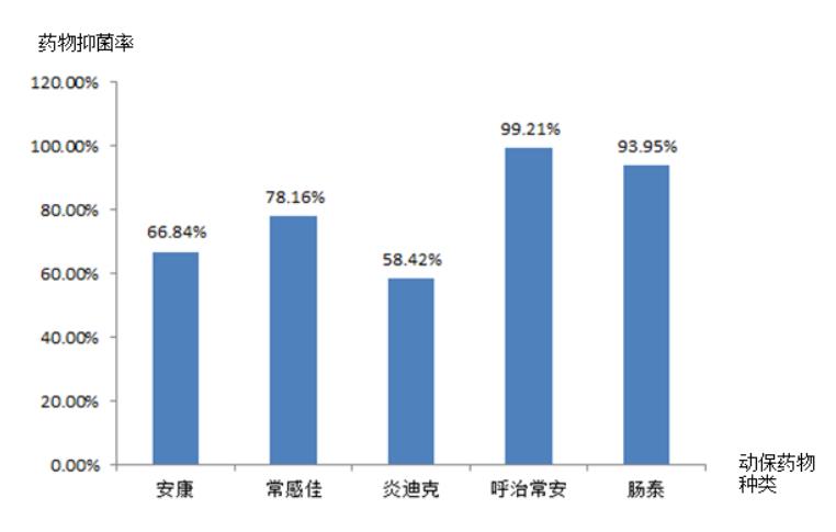 图3 动保药物药敏结果