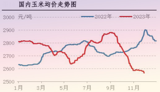 11月肉鸡市场行情分析及12月行情预测