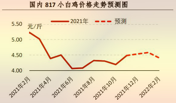 【行情】11月肉鸡市场行情分析及12月预测