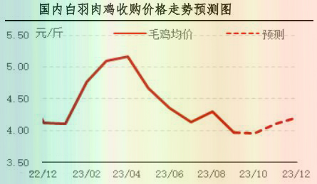 9月肉鸡市场行情分析及10月行情预测