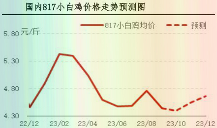 9月肉鸡市场行情分析及10月行情预测