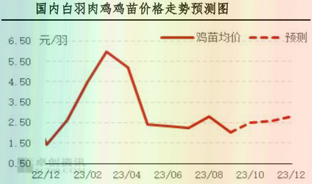 9月肉鸡市场行情分析及10月行情预测
