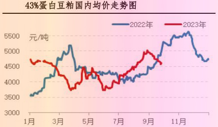 9月肉鸡市场行情分析及10月行情预测