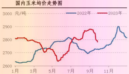 9月肉鸡市场行情分析及10月行情预测