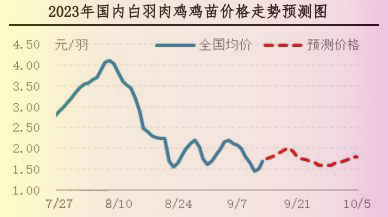 肉鸡市场行情汇总