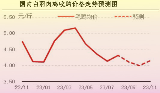 8月肉鸡市场行情分析及9月行情预测