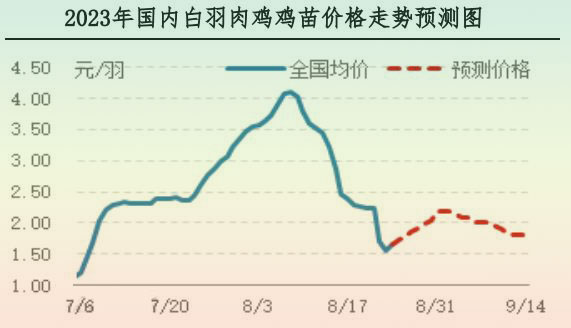 肉鸡市场行情汇总