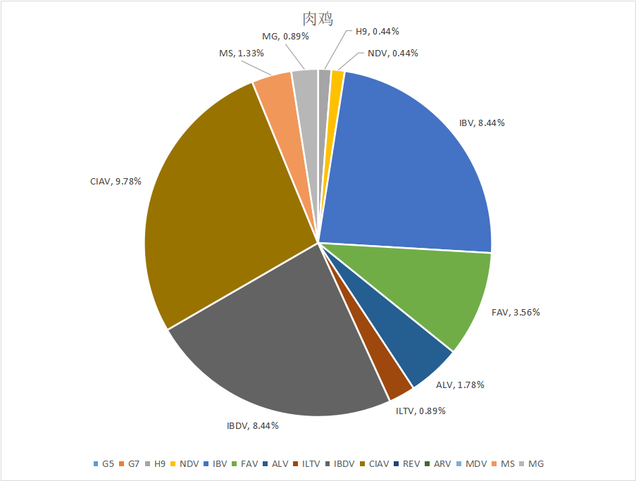 如何应对当前的变异型法氏囊炎？