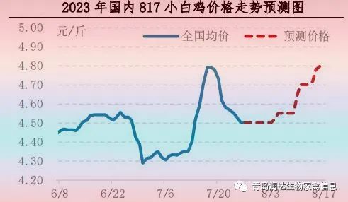 肉鸡市场行情汇总