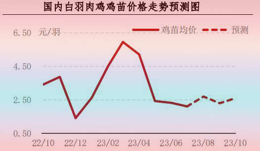 7月肉鸡市场行情分析及8月行情预测