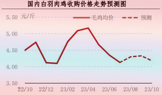 7月肉鸡市场行情分析及8月行情预测