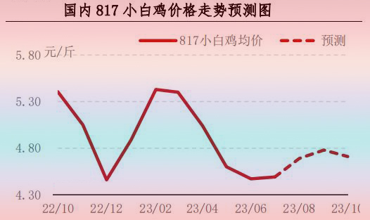 7月肉鸡市场行情分析及8月行情预测